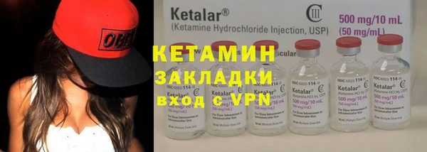 прущие грибы Сосновый Бор