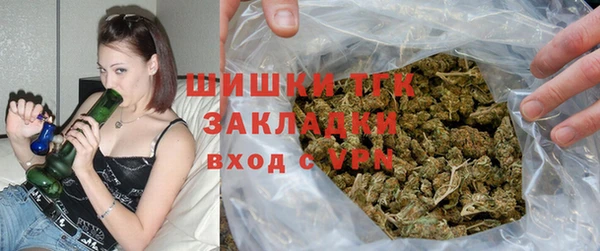 прущие грибы Сосновый Бор
