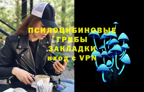 соль ск Ступино