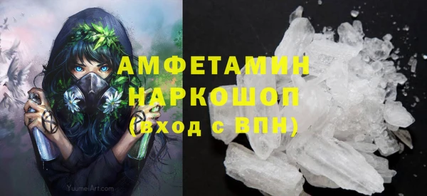 прущие грибы Сосновый Бор